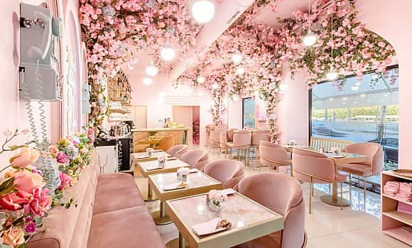 Restaurant Franais  Paris Pinky Bloom