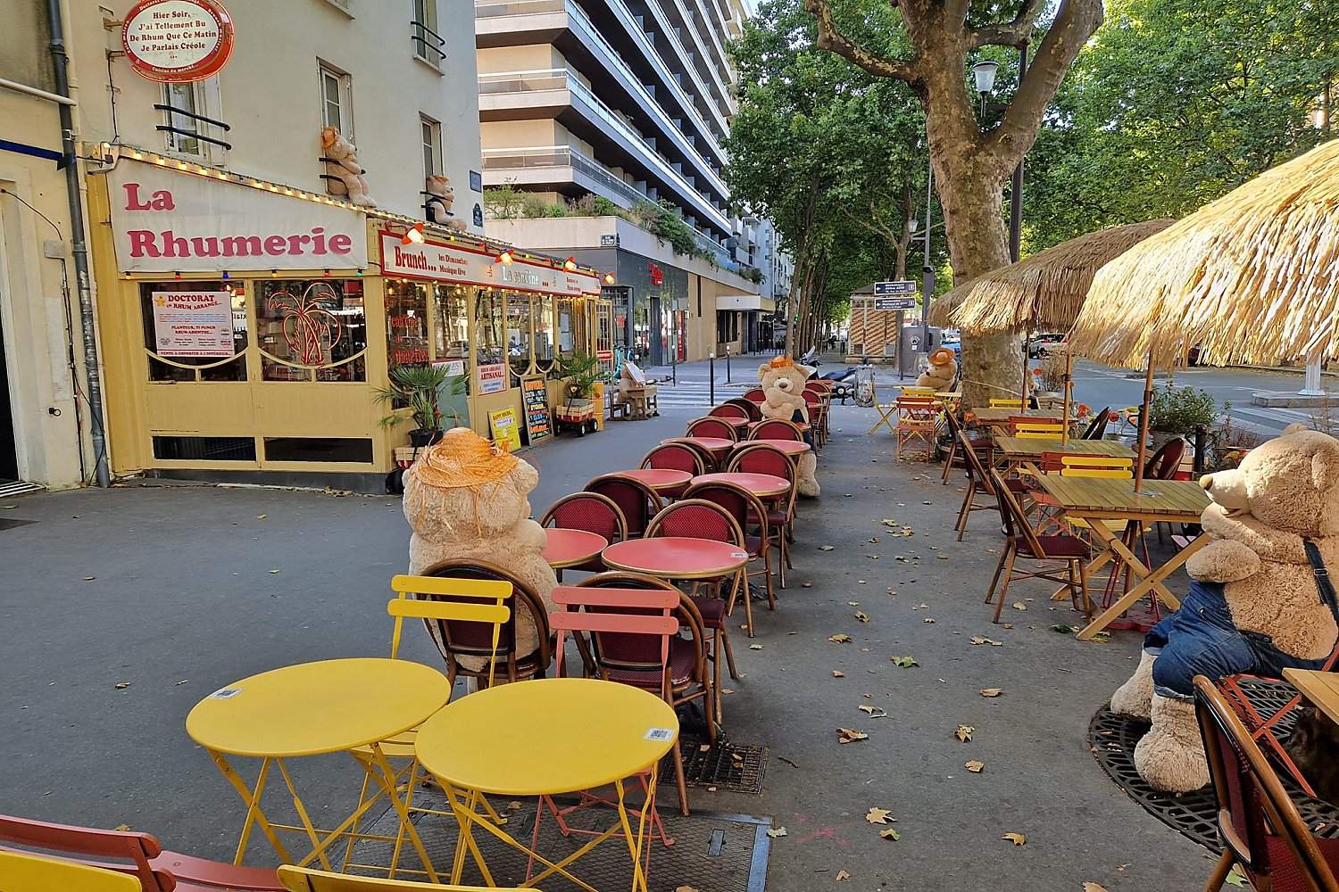 Restaurant Franais La cantine de Daumesnil  Paris - Photo 2